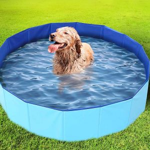 Piscina per amici a 4 zampe